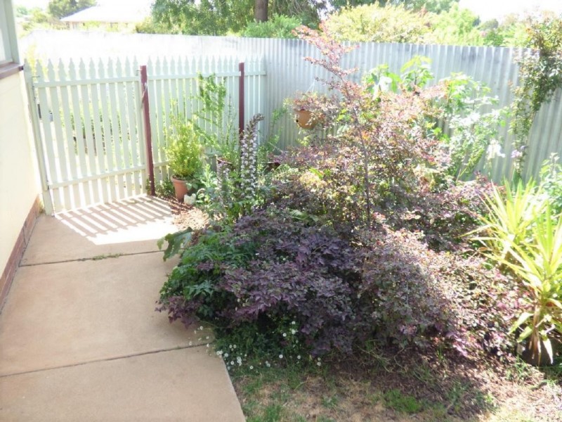 38 Ursula Street, Cootamundra NSW 2590
