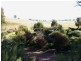216 Suttons Lane, Cootamundra NSW 2590
