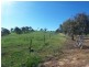 Lot 1 Salt Clay Road, Cootamundra NSW 2590