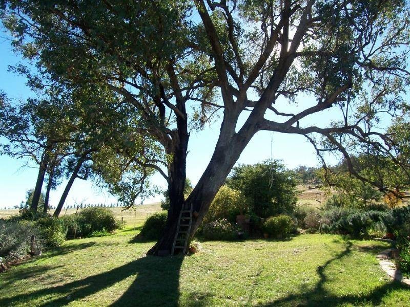 216 Suttons Lane, Cootamundra NSW 2590