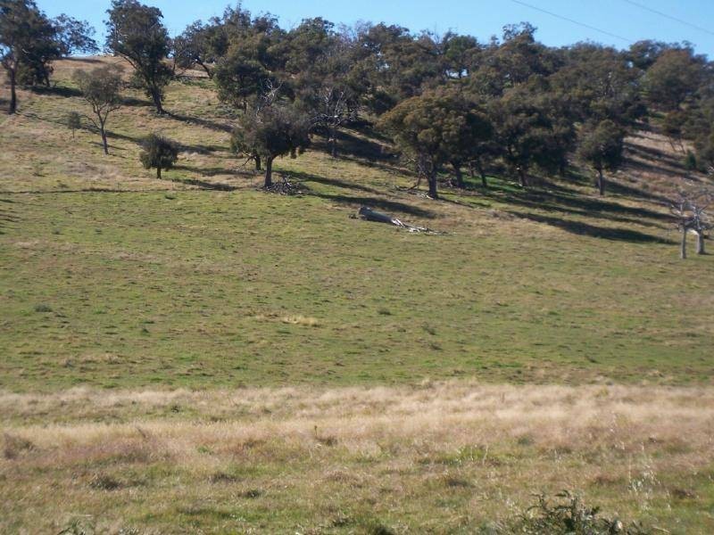 216 Suttons Lane, Cootamundra NSW 2590