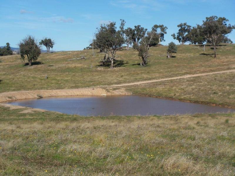 216 Suttons Lane, Cootamundra NSW 2590