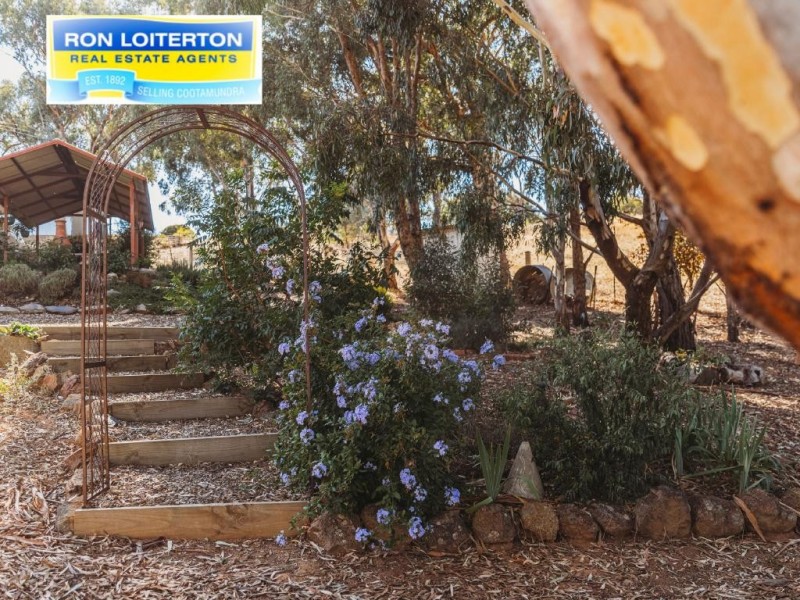 38 Pinkerton Lane, Cootamundra NSW 2590