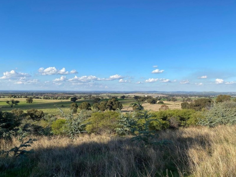 Lot 2 Whites Lane, Stockinbingal NSW 2725