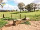 158  Kilrush Road, Cootamundra NSW 2590