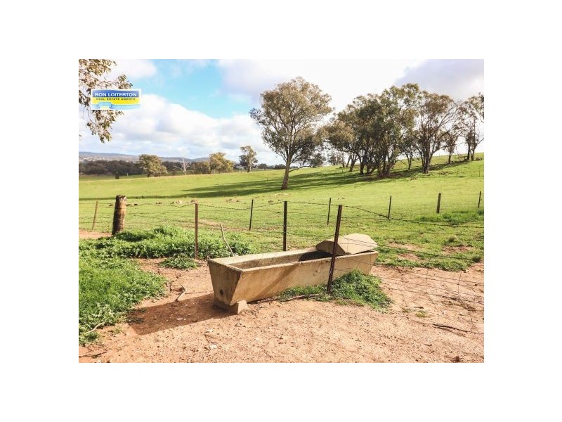 158  Kilrush Road, Cootamundra NSW 2590