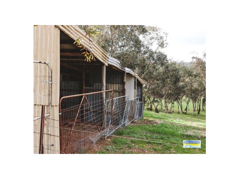 158  Kilrush Road, Cootamundra NSW 2590