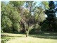 4 Poole Street, Cootamundra NSW 2590