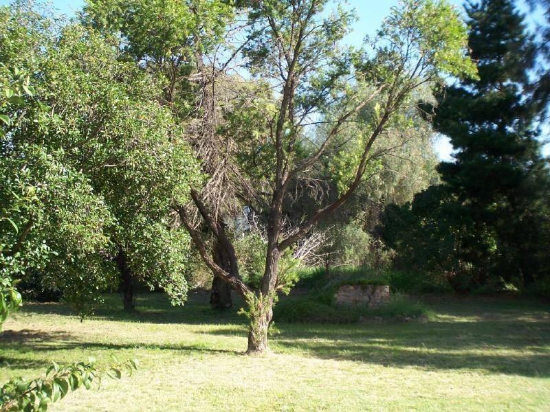 4 Poole Street, Cootamundra NSW 2590