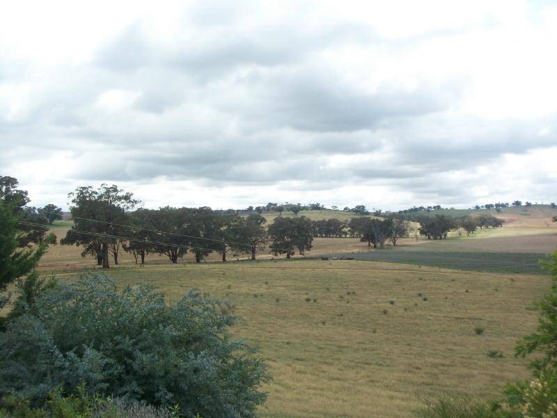 Lot 97 Jugiong Road, Cootamundra NSW 2590