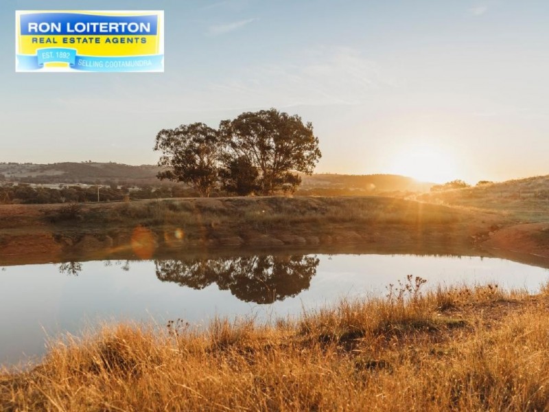 Cootamundra NSW 2590