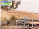 Cootamundra NSW 2590