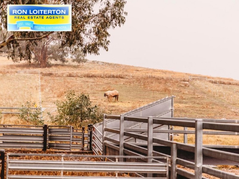 Cootamundra NSW 2590