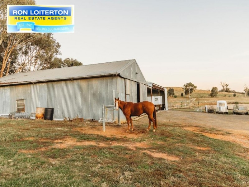 Cootamundra NSW 2590