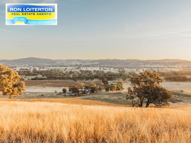Cootamundra NSW 2590