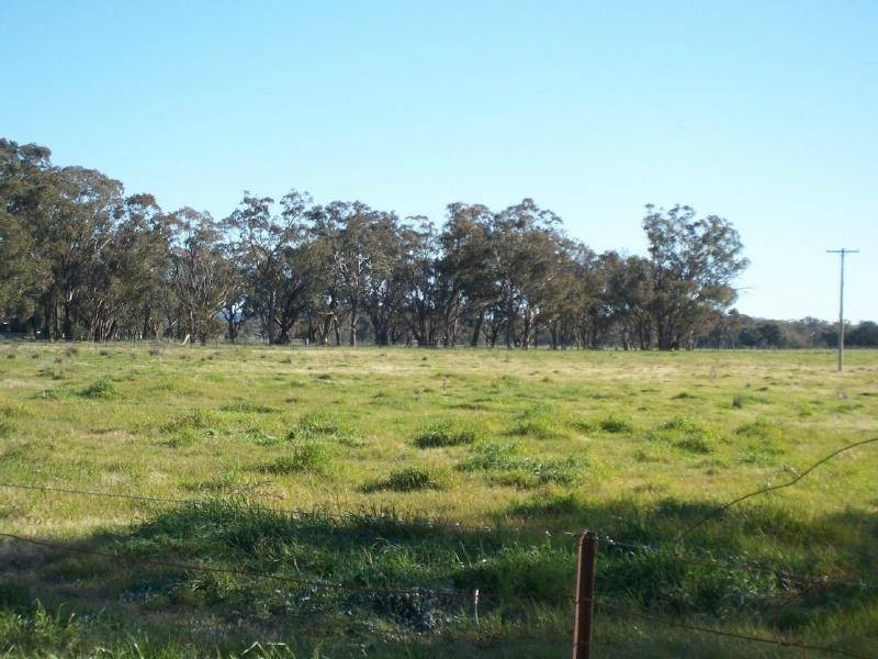 1 Grogan Road, Stockinbingal NSW 2725