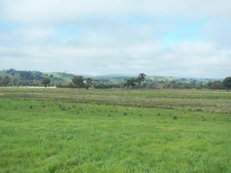 1 Back Brawlin Road, Cootamundra NSW 2590