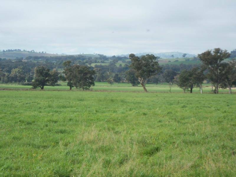 1 Back Brawlin Road, Cootamundra NSW 2590