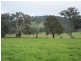 1 Back Brawlin Road, Cootamundra NSW 2590