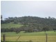 1 Back Brawlin Road, Cootamundra NSW 2590