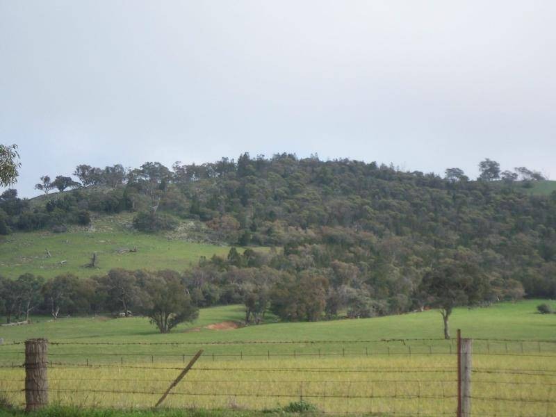 1 Back Brawlin Road, Cootamundra NSW 2590