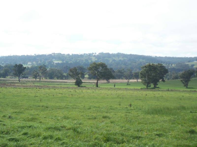 1 Back Brawlin Road, Cootamundra NSW 2590