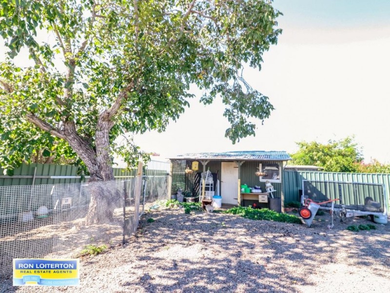 Cootamundra NSW 2590