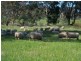 ‘Claremont’ Smiths Lane, Temora NSW 2666