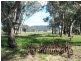 ‘Claremont’ Smiths Lane, Temora NSW 2666