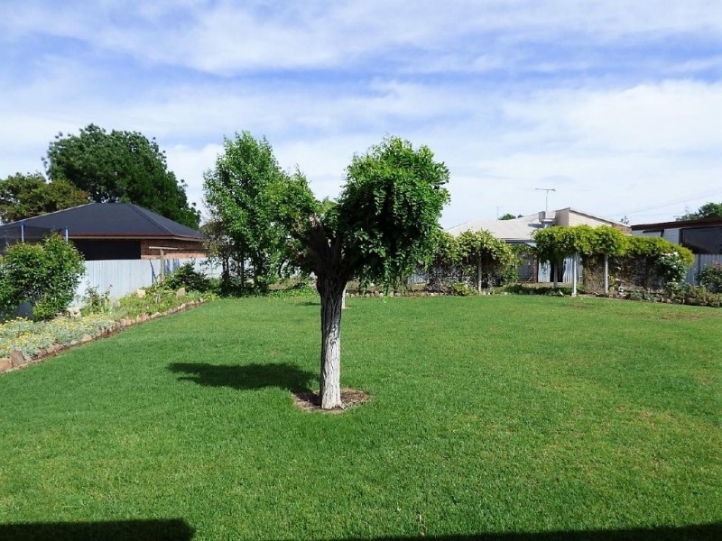 55 Hay Street, Cootamundra NSW 2590