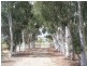 ‘Yolanda’ Gundagai Road, Coolac NSW 2727