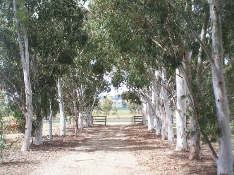 ‘Yolanda’ Gundagai Road, Coolac NSW 2727