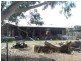 ‘Yolanda’ Gundagai Road, Coolac NSW 2727