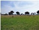 Appletrees, Cootamundra NSW 2590