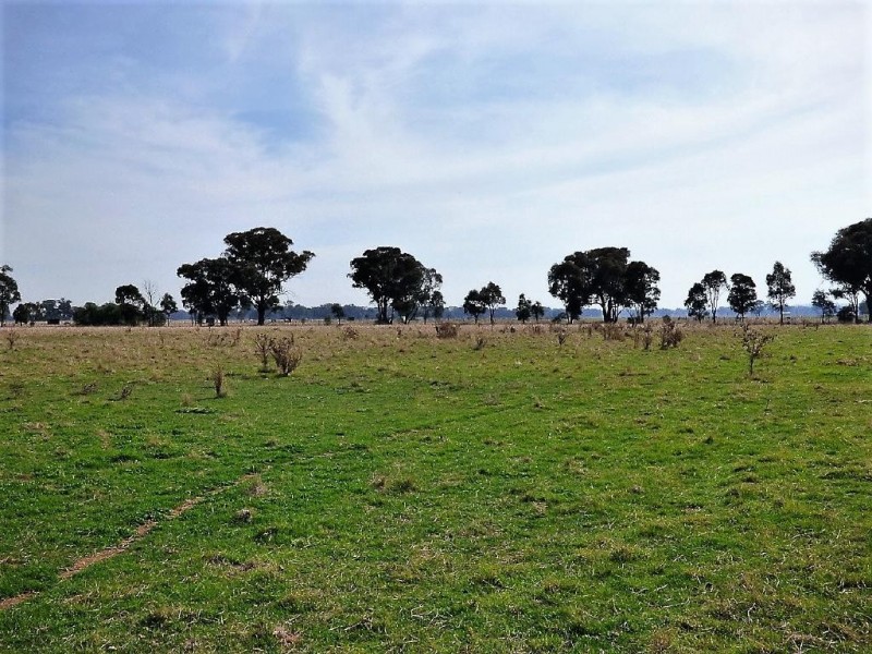 Appletrees, Cootamundra NSW 2590