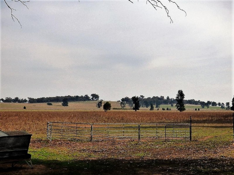 Appletrees, Cootamundra NSW 2590