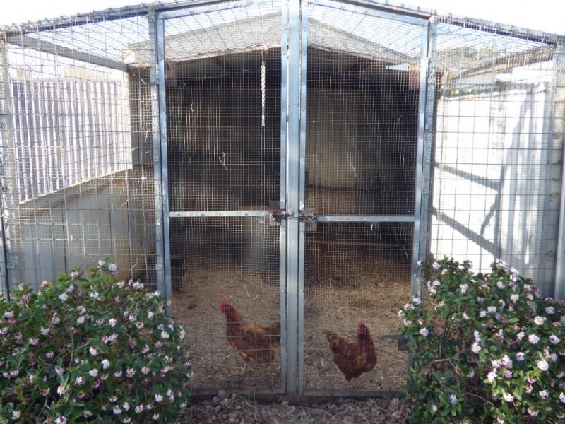 127 Temora Street, Cootamundra NSW 2590