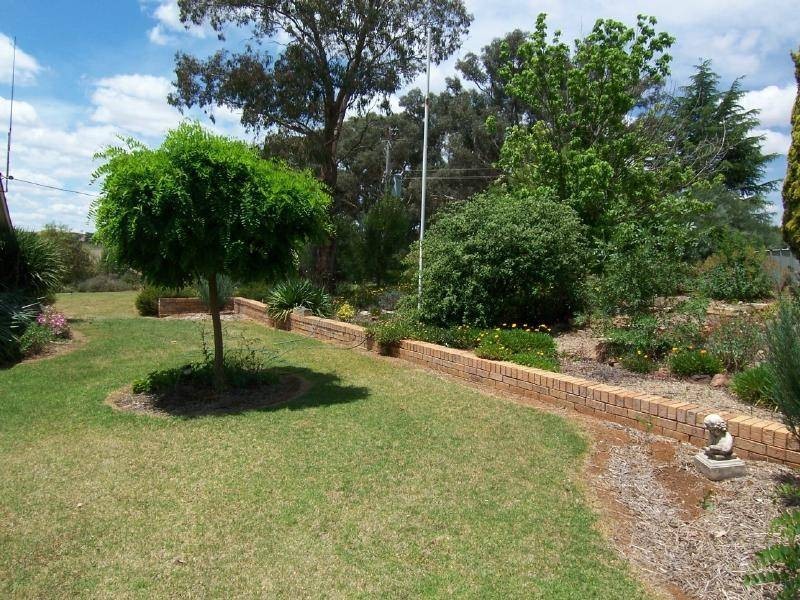 245 Jugiong Road, Cootamundra NSW 2590