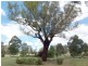 ‘Yolanda’ Gundagai Road, Cootamundra NSW 2590