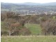 Lot 3/119 Salt Clay Road, Cootamundra NSW 2590