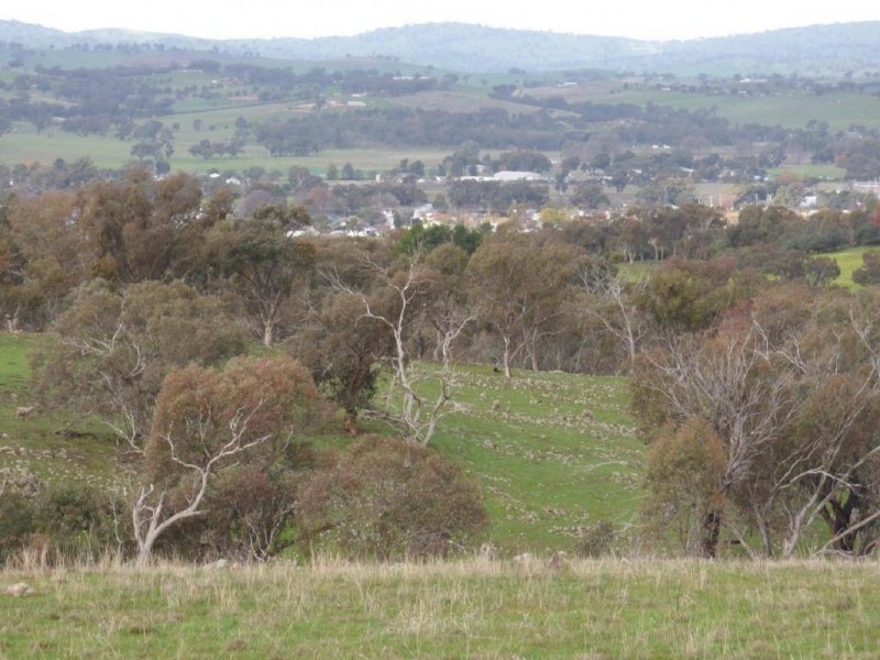 Lot 3/119 Salt Clay Road, Cootamundra NSW 2590