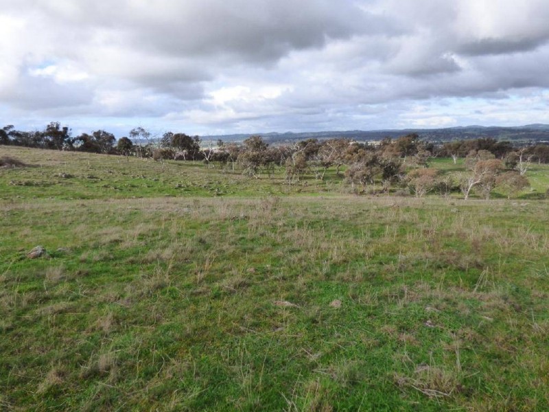 Lot 3/119 Salt Clay Road, Cootamundra NSW 2590