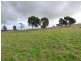 Lot 3/119 Salt Clay Road, Cootamundra NSW 2590