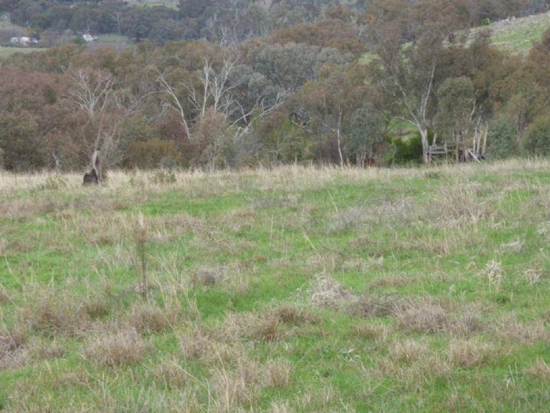 Lot 3/119 Salt Clay Road, Cootamundra NSW 2590