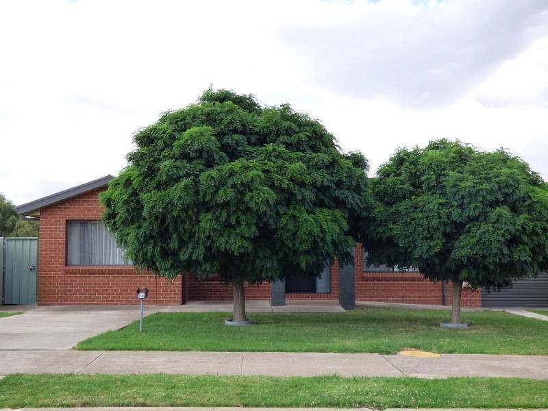 20 Pinkstone Avenue, Cootamundra NSW 2590