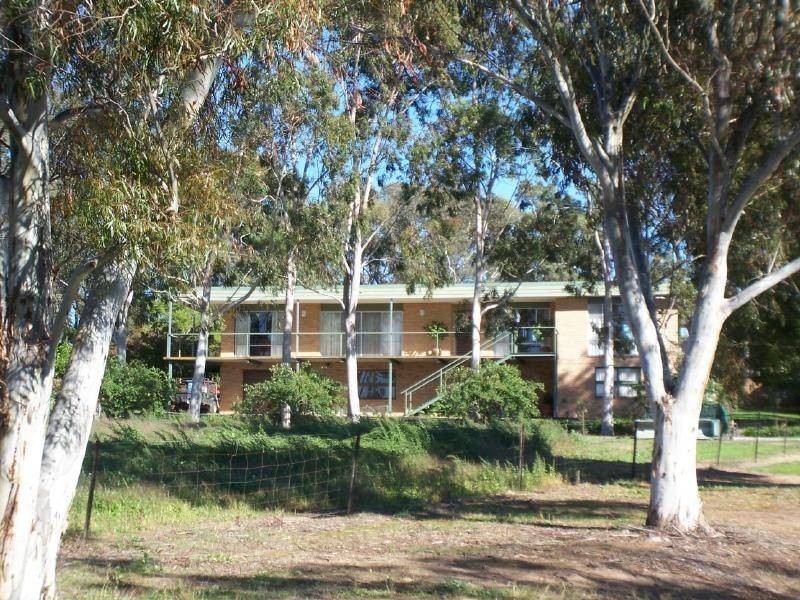 Amarillo Temora Road, Cootamundra NSW 2590