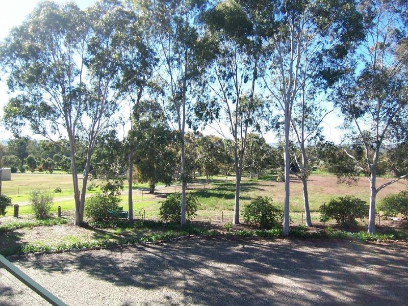 Amarillo Temora Road, Cootamundra NSW 2590