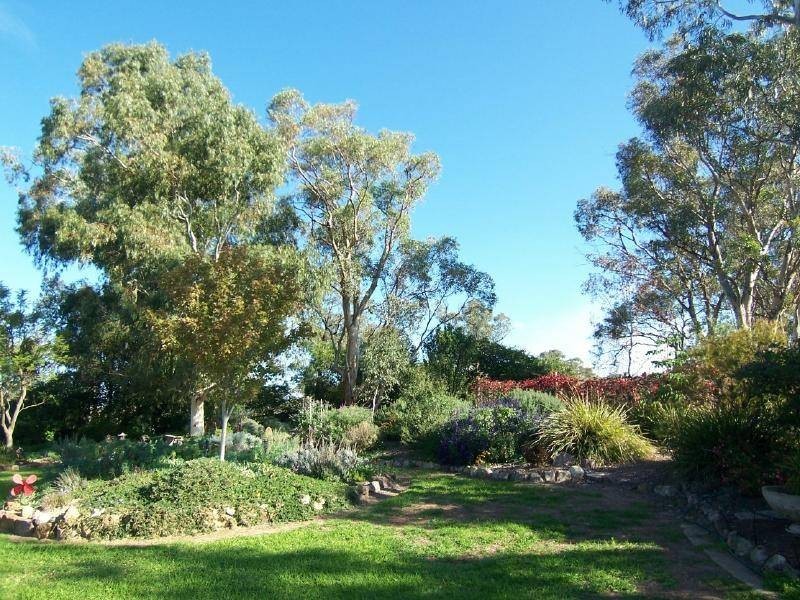 Amarillo Temora Road, Cootamundra NSW 2590