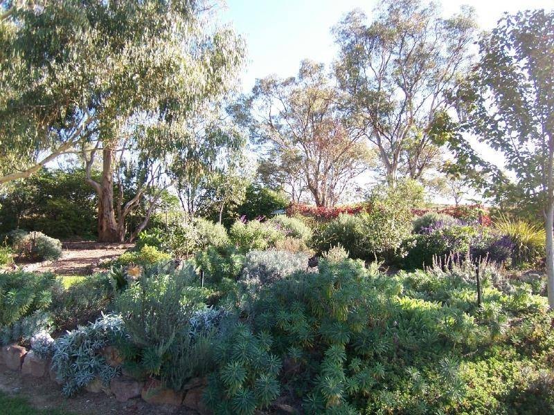Amarillo Temora Road, Cootamundra NSW 2590