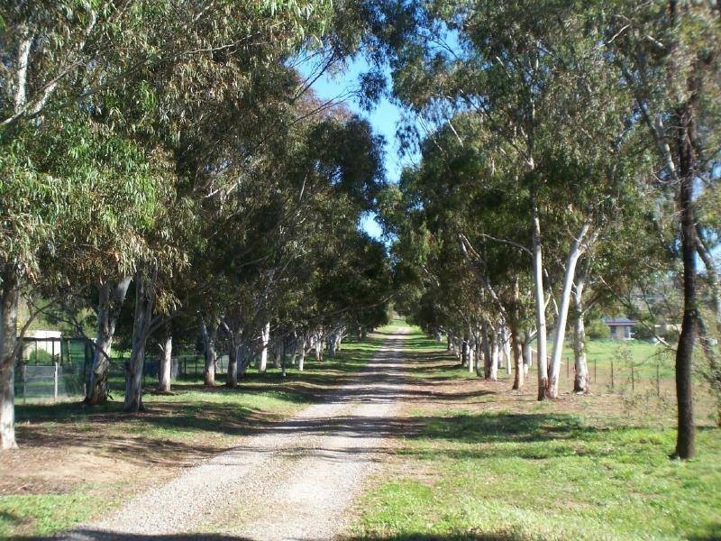 Amarillo Temora Road, Cootamundra NSW 2590